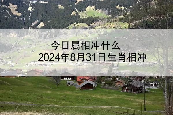 今日属相冲什么 2024年8月31日生肖相冲