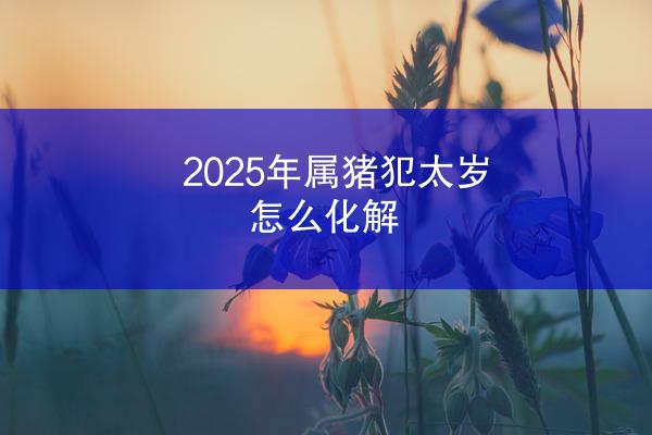 2025年属猪犯太岁怎么化解