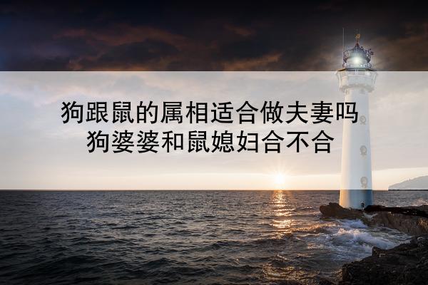 狗跟鼠的属相适合做夫妻吗 狗婆婆和鼠媳妇合不合