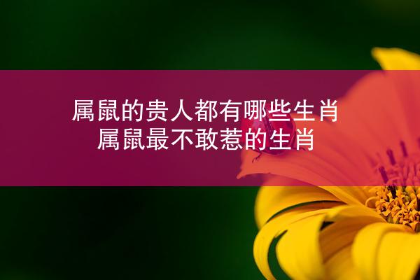 属鼠的贵人都有哪些生肖 属鼠最不敢惹的生肖
