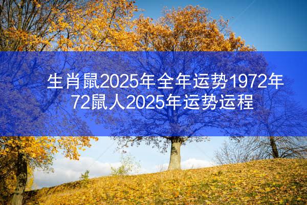 生肖鼠2025年全年运势1972年 72鼠人2025年运势运程