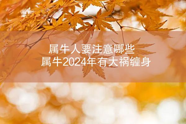 属牛人要注意哪些 属牛2024年有大祸缠身