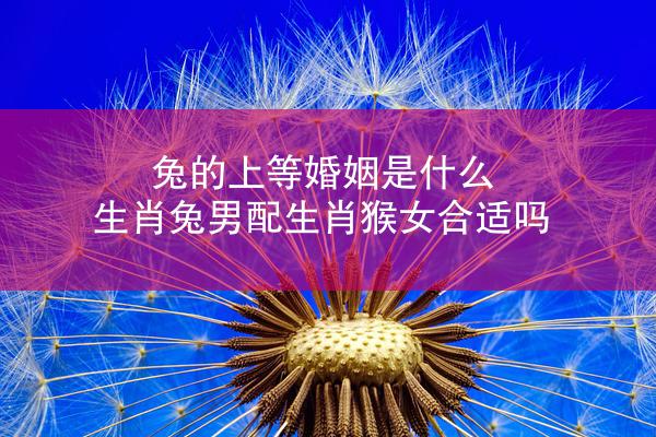 兔的上等婚姻是什么 生肖兔男配生肖猴女合适吗