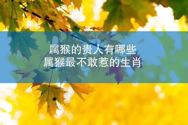 属猴的贵人有哪些 属猴最不敢惹的生肖