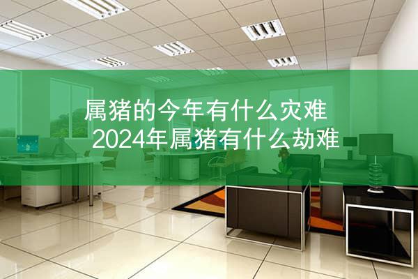 属猪的今年有什么灾难 2024年属猪有什么劫难