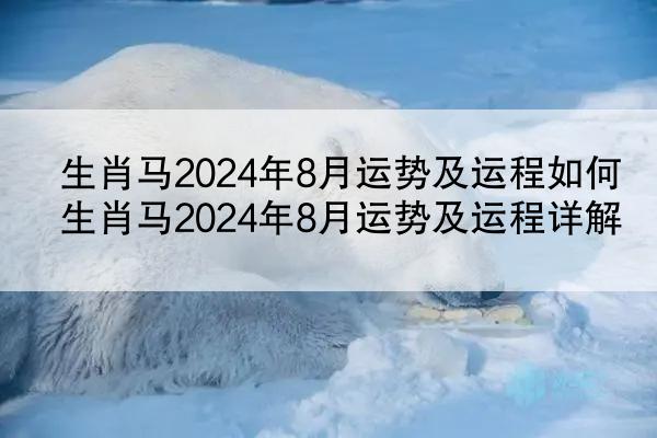生肖马2024年8月运势及运程如何 生肖马2024年8月运势及运程详解