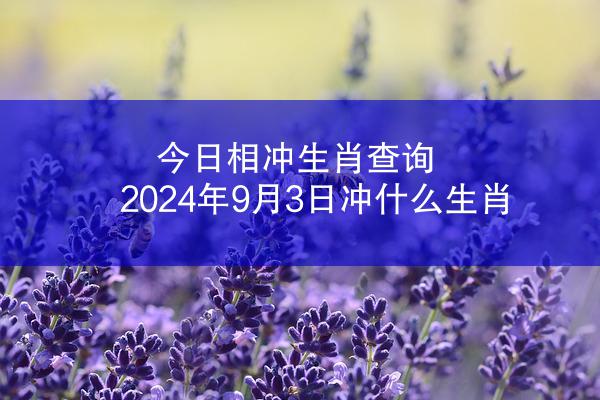 今日相冲生肖查询 2024年9月3日冲什么生肖