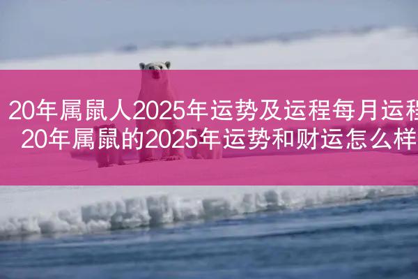 20年属鼠人2025年运势及运程每月运程 20年属鼠的2025年运势和财运怎么样