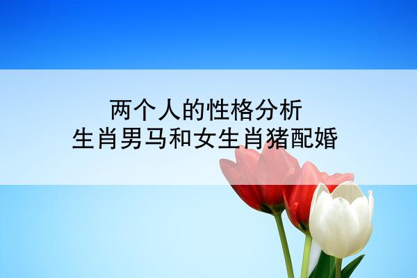 两个人的性格分析 生肖男马和女生肖猪配婚