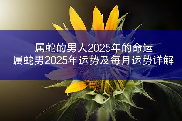 属蛇的男人2025年的命运 属蛇男2025年运势及每月运势详解