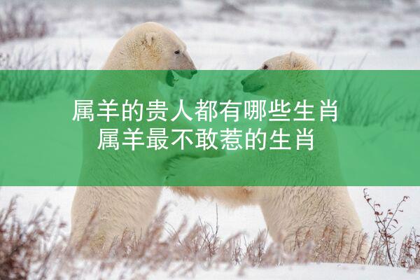 属羊的贵人都有哪些生肖 属羊最不敢惹的生肖