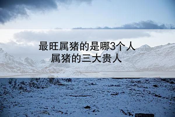 最旺属猪的是哪3个人 属猪的三大贵人