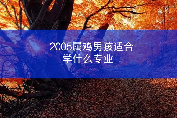 2005属鸡男孩适合学什么专业