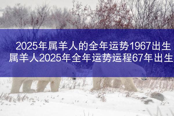 2025年属羊人的全年运势1967出生 属羊人2025年全年运势运程67年出生