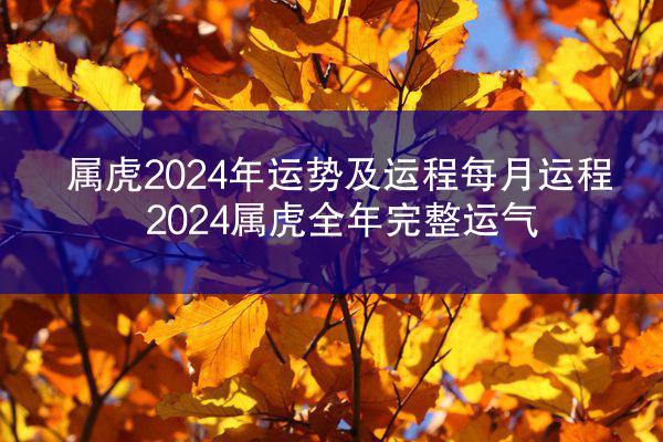 属虎2024年运势及运程每月运程 2024属虎全年完整运气