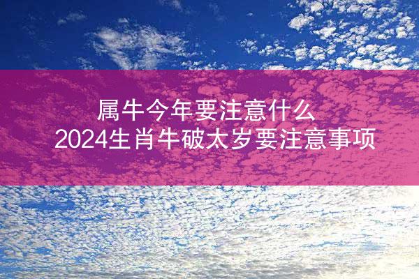 属牛今年要注意什么 2024生肖牛破太岁要注意事项