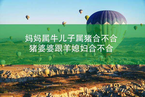 妈妈属牛儿子属猪合不合 猪婆婆跟羊媳妇合不合