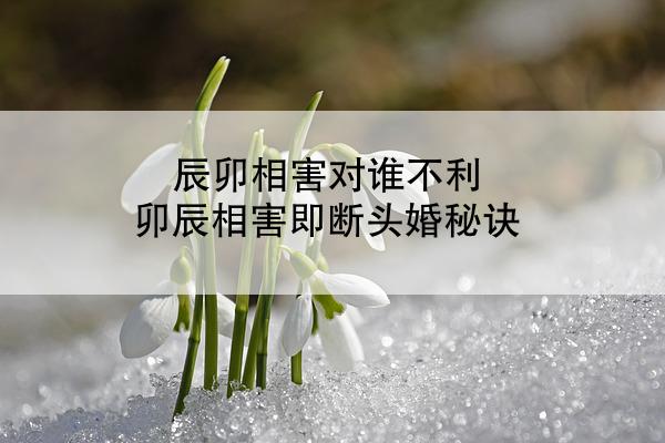 辰卯相害对谁不利 卯辰相害即断头婚秘诀
