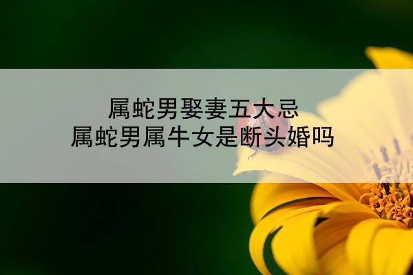 属蛇男娶妻五大忌 属蛇男属牛女是断头婚吗