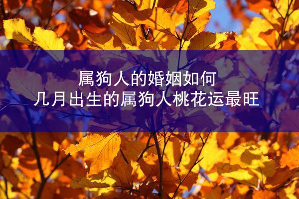 属狗人的婚姻如何 几月出生的属狗人桃花运最旺