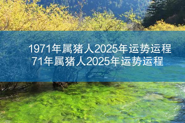 1971年属猪人2025年运势运程 71年属猪人2025年运势运程