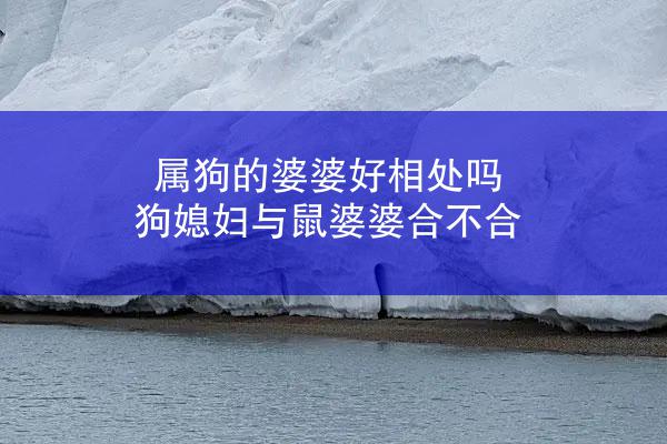 属狗的婆婆好相处吗 狗媳妇与鼠婆婆合不合