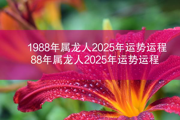 1988年属龙人2025年运势运程 88年属龙人2025年运势运程