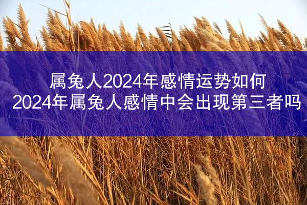 属兔人2024年感情运势如何 2024年属兔人感情中会出现第三者吗
