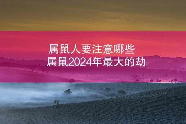 属鼠人要注意哪些 属鼠2024年最大的劫