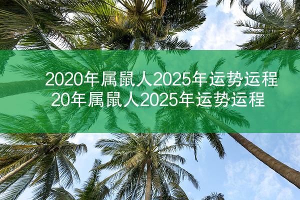 2020年属鼠人2025年运势运程 20年属鼠人2025年运势运程