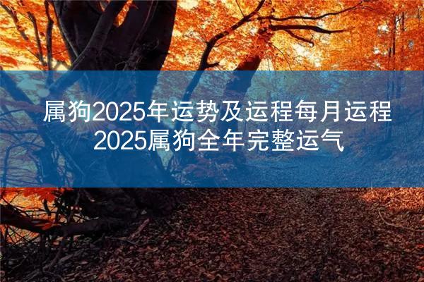 属狗2025年运势及运程每月运程 2025属狗全年完整运气