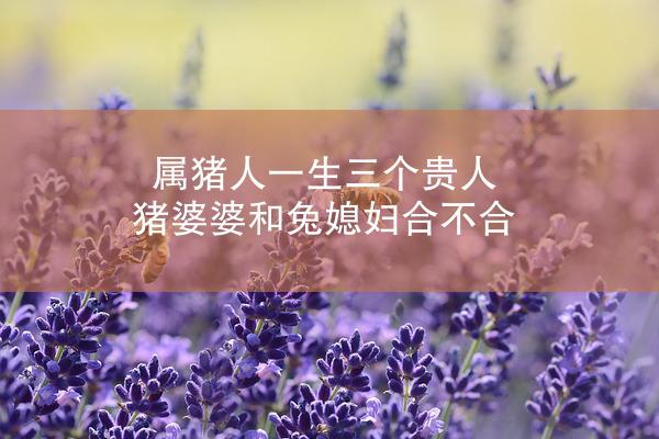 属猪人一生三个贵人 猪婆婆和兔媳妇合不合