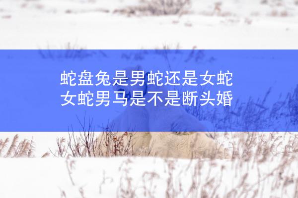 蛇盘兔是男蛇还是女蛇 女蛇男马是不是断头婚