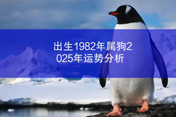 出生1982年属狗2025年运势分析