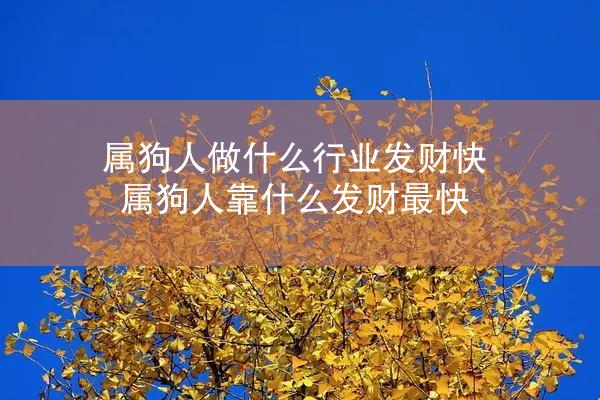 属狗人做什么行业发财快 属狗人靠什么发财最快
