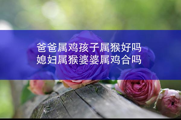 爸爸属鸡孩子属猴好吗 媳妇属猴婆婆属鸡合吗
