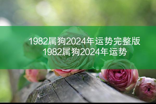 1982属狗2024年运势完整版 1982属狗2024年运势