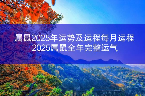 属鼠2025年运势及运程每月运程 2025属鼠全年完整运气
