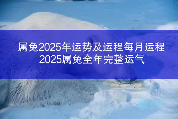 属兔2025年运势及运程每月运程 2025属兔全年完整运气