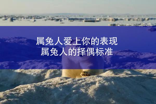 属兔人爱上你的表现 属兔人的择偶标准