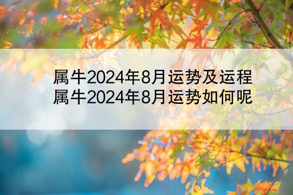 属牛2024年8月运势及运程 属牛2024年8月运势如何呢