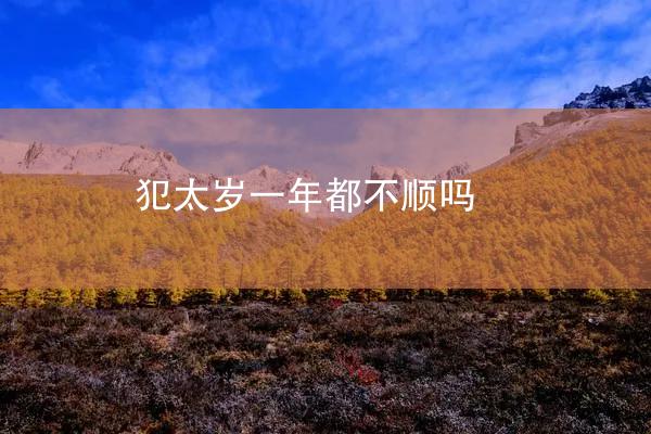 犯太岁一年都不顺吗