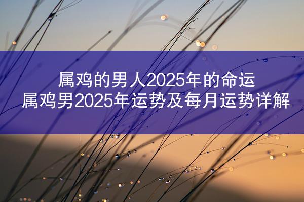 属鸡的男人2025年的命运 属鸡男2025年运势及每月运势详解