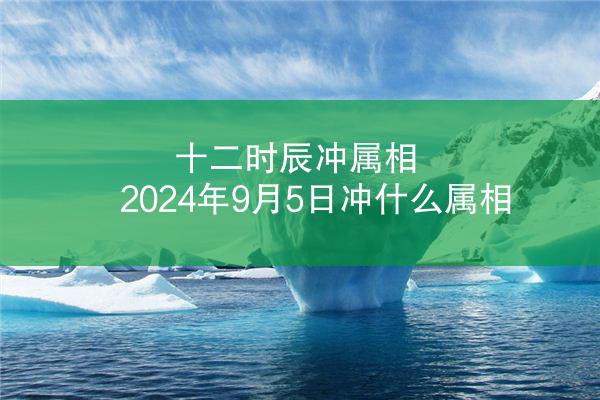 十二时辰冲属相 2024年9月5日冲什么属相