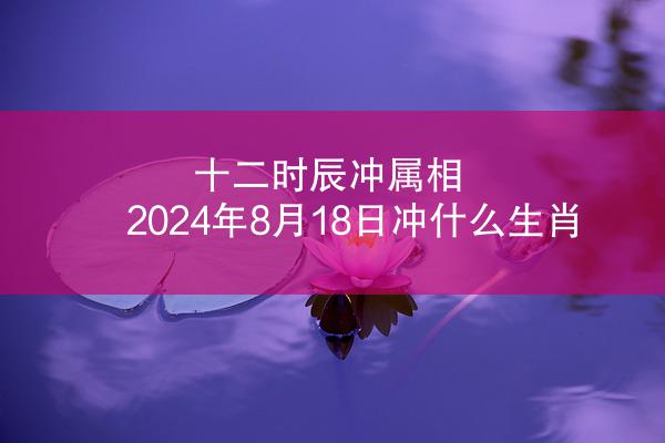 十二时辰冲属相 2024年8月18日冲什么生肖