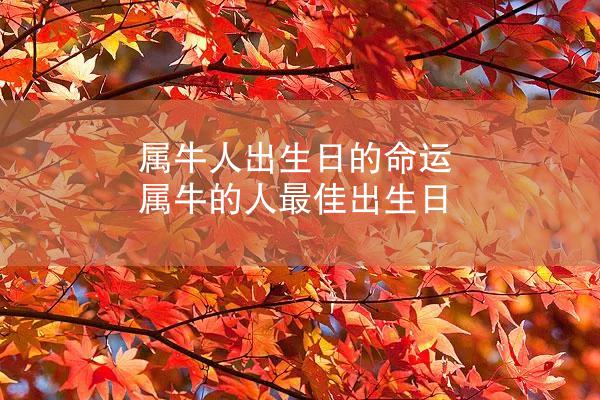属牛人出生日的命运 属牛的人最佳出生日