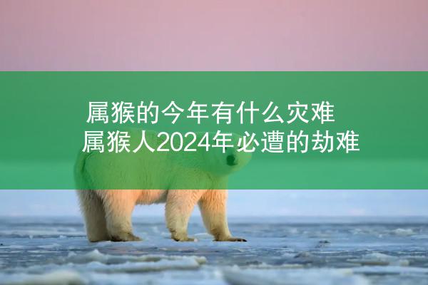 属猴的今年有什么灾难 属猴人2024年必遭的劫难