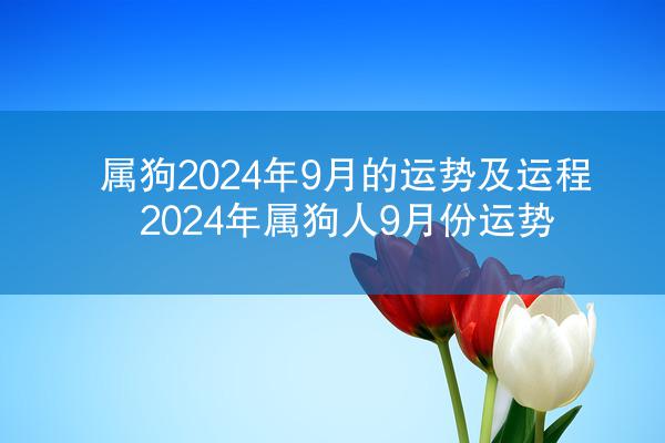 属狗2024年9月的运势及运程 2024年属狗人9月份运势