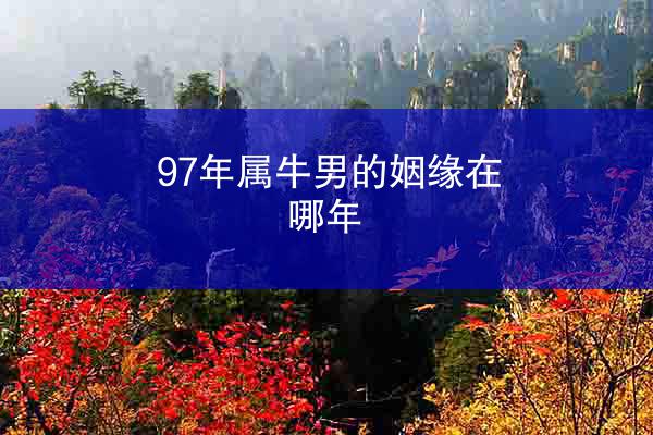 97年属牛男的姻缘在哪年