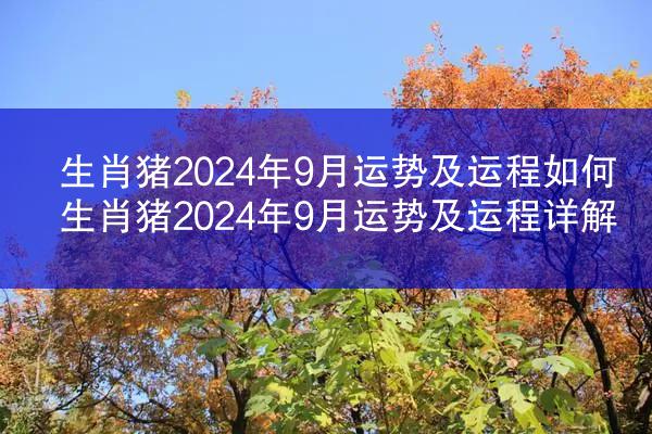 生肖猪2024年9月运势及运程如何 生肖猪2024年9月运势及运程详解
